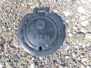甲府市下飯田、土地の画像です