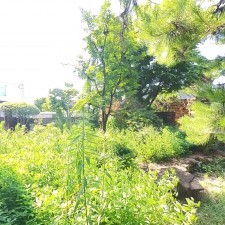 甲府市西田町、中古一戸建ての画像です