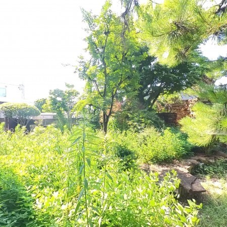 甲府市西田町、中古一戸建ての画像です