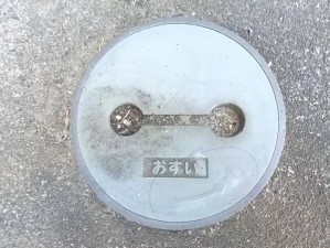 甲府市下飯田、土地の画像です