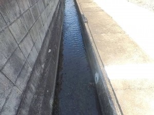 甲府市千塚、土地の画像です