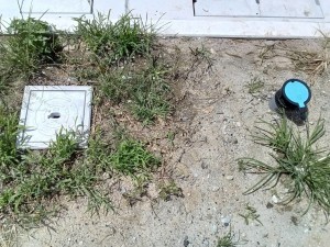 中巨摩郡昭和町河東中島、土地の画像です