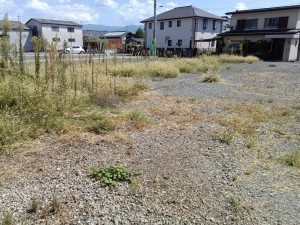 甲府市東光寺、土地の画像です