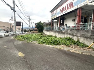 甲斐市龍地、土地の画像です