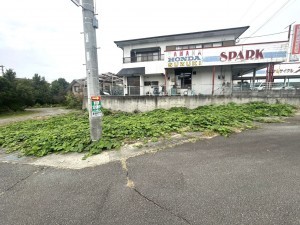 甲斐市龍地、土地の画像です