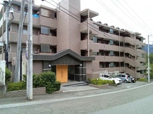 甲州市勝沼町菱山、マンションの画像です