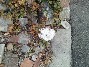 甲斐市大下条、土地の画像です