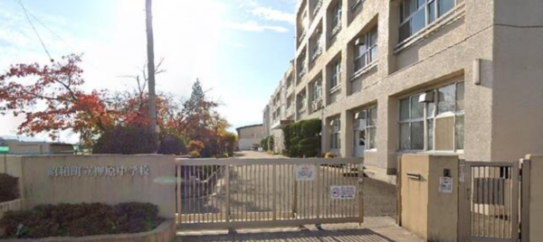 中巨摩郡昭和町西条、土地の画像です