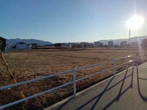 中巨摩郡昭和町西条、土地の画像です