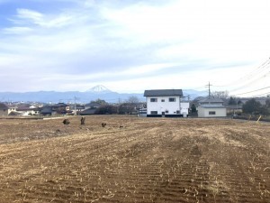 甲斐市宇津谷、土地の画像です