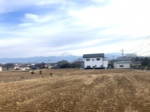 甲斐市宇津谷、土地の画像です