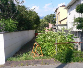 甲府市池田、土地の画像です