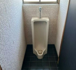 中巨摩郡昭和町西条、中古一戸建ての画像です