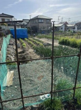 甲斐市篠原、土地の画像です
