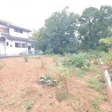 甲斐市岩森、土地の画像です