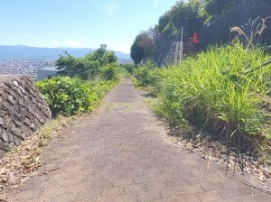 甲府市東光寺町、土地の外観画像です