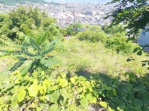甲府市東光寺町、土地の画像です