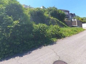 甲府市東光寺町、土地の外観画像です