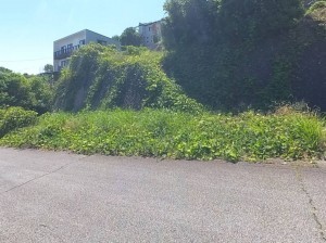 甲府市東光寺町、土地の外観画像です