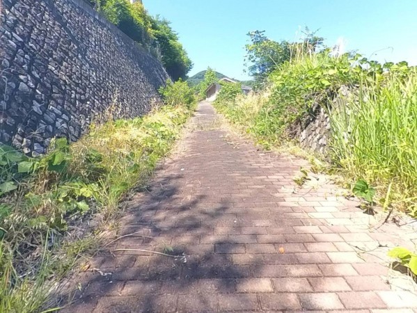 甲府市東光寺町、土地の外観画像です