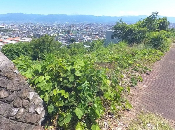 甲府市東光寺町、土地の画像です