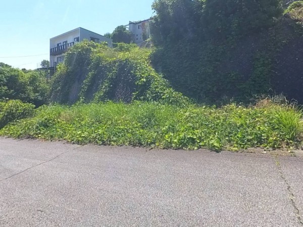 甲府市東光寺町、土地の外観画像です
