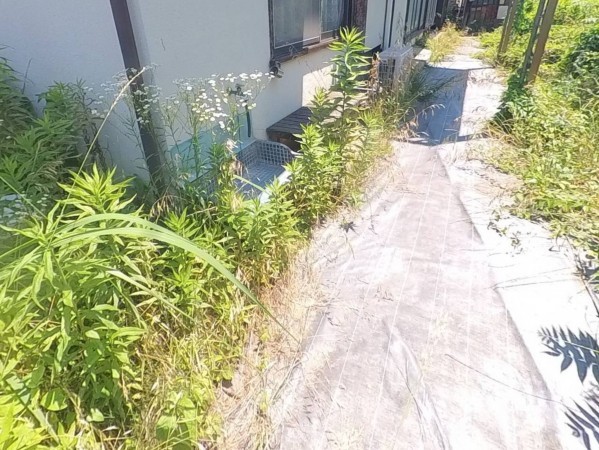 甲府市伊勢、土地の画像です