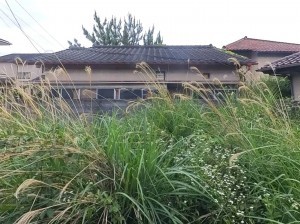甲府市音羽町、土地の画像です