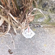 西八代郡市川三郷町市川大門、土地の画像です