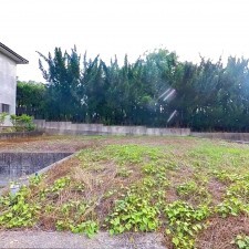 甲府市古府中町、土地の画像です