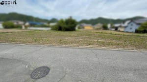 たつの市新宮町井野原、土地の前面道路を含む現地写真画像です