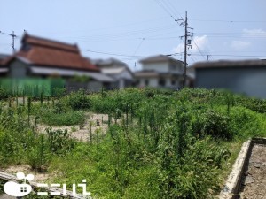 揖保郡太子町福地、土地の外観画像です