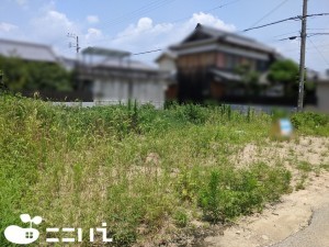 揖保郡太子町福地、土地の外観画像です