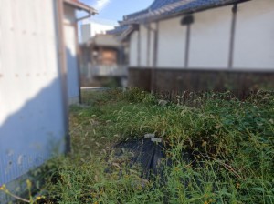 たつの市新宮町仙正、中古一戸建てのその他画像です