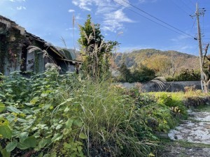 たつの市新宮町宮内、中古一戸建てのその他画像です