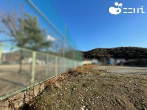 姫路市上手野、土地の画像です
