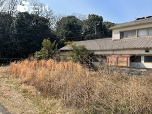 姫路市飾磨区中島、土地の画像です