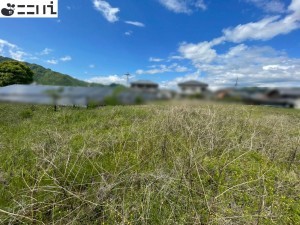 たつの市新宮町船渡、土地の外観画像です