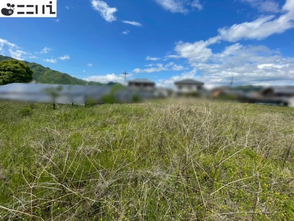 たつの市新宮町船渡、土地の外観画像です