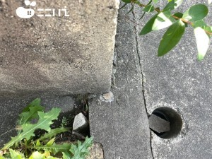 姫路市飾磨区都倉、土地の画像です