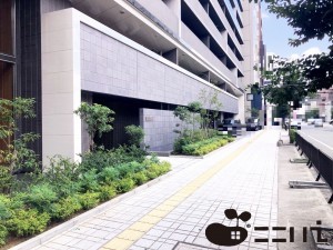 姫路市東駅前町、マンションのエントランス画像です