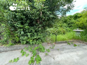 姫路市梅ケ谷町、土地の画像です