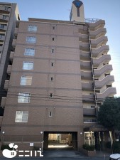 姫路市飾磨区野田町、マンションの外観画像です