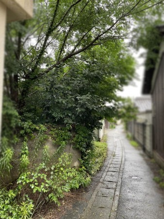 たつの市揖西町清水新、土地の前面道路を含む現地写真画像です