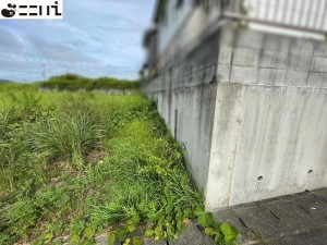 たつの市揖西町土師、土地のその他画像です