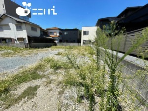 姫路市三条町、土地の画像です