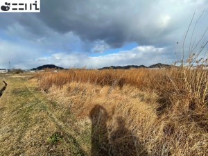 たつの市誉田町高駄、土地の外観画像です