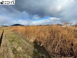 たつの市誉田町高駄、土地の外観画像です
