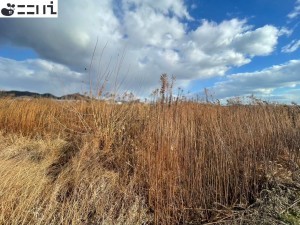 たつの市誉田町高駄、土地の外観画像です