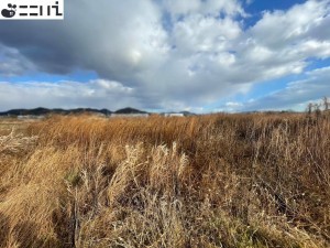 たつの市誉田町高駄、土地の外観画像です